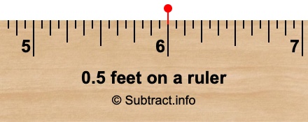 0.5 feet on a ruler 0.5 feet on a ruler