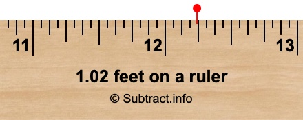 1.02 feet on a ruler 1.02 feet on a ruler