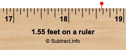 1.55 feet on a ruler