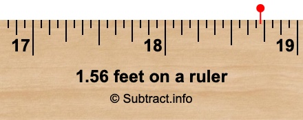 1.56 feet on a ruler