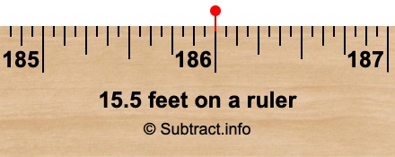 15.5 feet on a ruler