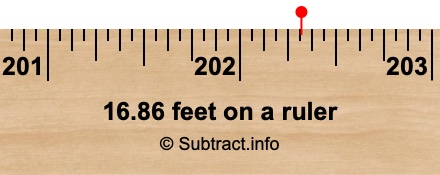 16.86 feet on a ruler
