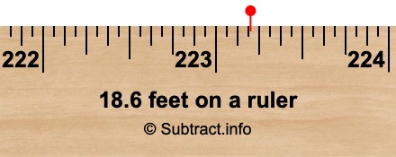 18.6 feet on a ruler