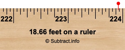 18.66 feet on a ruler