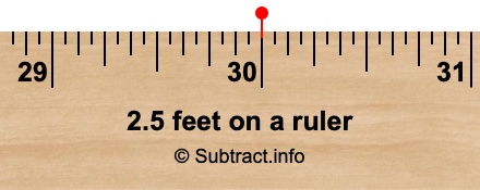 2.5 feet on a ruler