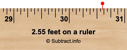 2.55 feet on a ruler