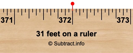 31 feet on a ruler
