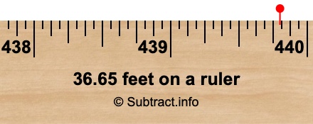 36.65 feet on a ruler