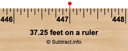 37.25 feet on a ruler
