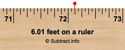 6.01 feet on a ruler