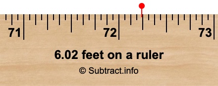 6.02 feet on a ruler