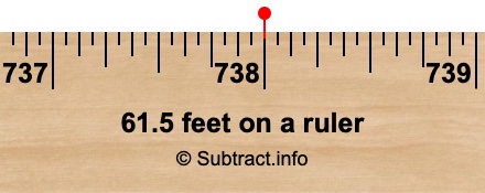 61.5 feet on a ruler