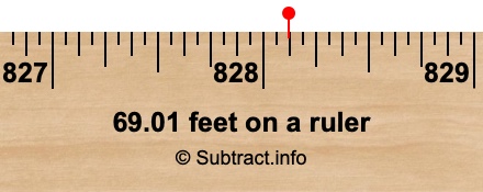 69.01 feet on a ruler