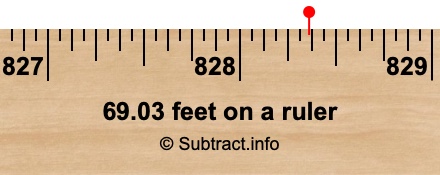 69.03 feet on a ruler 69.03 feet on a ruler
