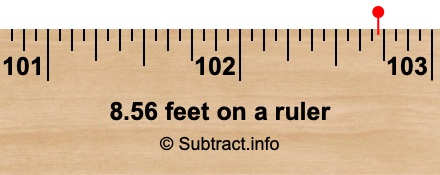 8.56 feet on a ruler