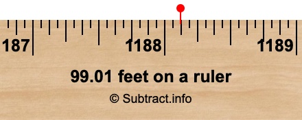 99.01 feet on a ruler